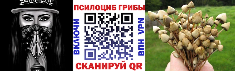 Псилоцибиновые грибы GOLDEN TEACHER  где можно купить   Красноармейск 